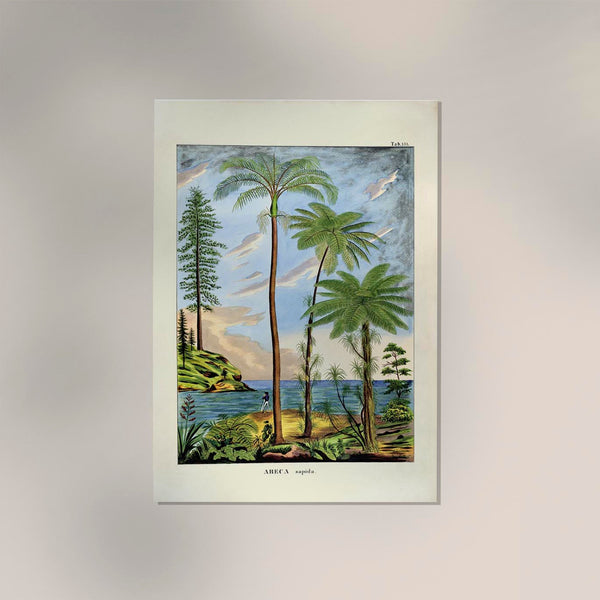 Areca Sapida Beach Scene Vintage Poster – Fine Art Print UV-resistent
