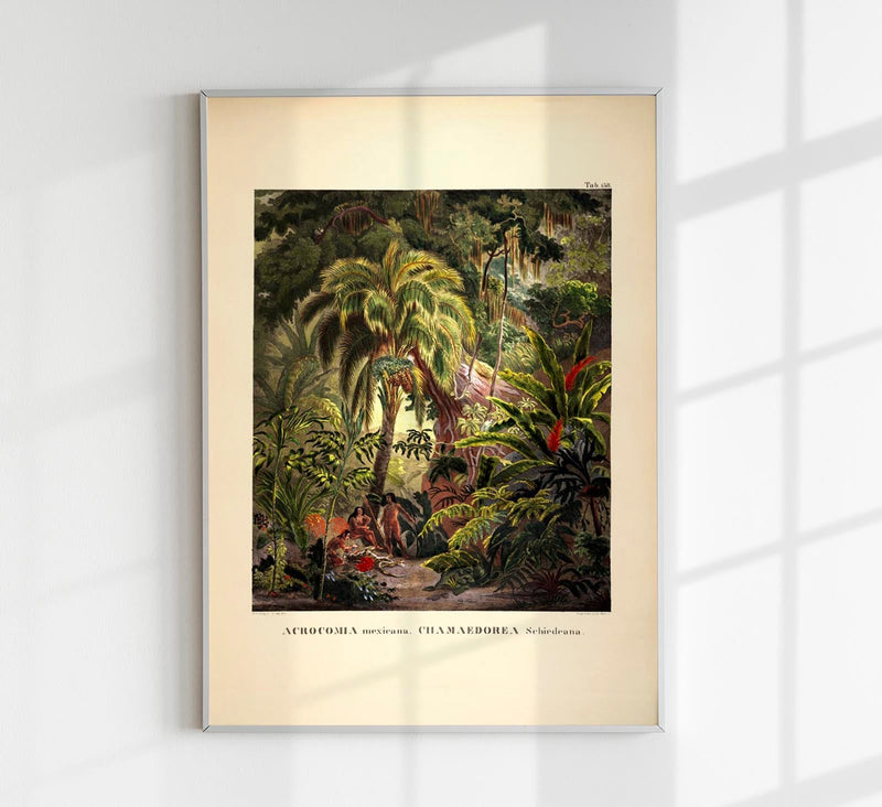 Acromia Mexicana Jungle Scene – Botanisches Poster | Tropische Flora — Patroa Studio