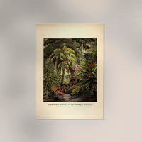 Acromia Mexicana Jungle Scene – Botanisches Poster | Tropische Flora — Ansicht 2