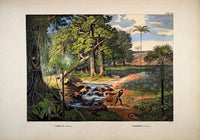 Colourful Jungle Scene Vintage Poster – Tropisches Wandbild Fine Art Print — Ansicht 3