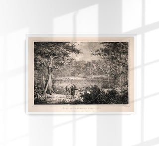 Birds at San Francisco River Jungle Scene Vintage Poster – Fine Art Print | Tropisch | Vintage