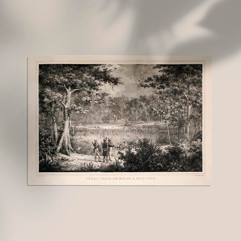 Birds at San Francisco River Jungle Scene Vintage Poster – Fine Art Print A3-A0 — Ansicht 2