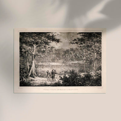 Birds at San Francisco River Jungle Scene Vintage Poster – Fine Art Print A3-A0