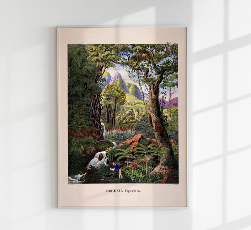 Morenia Poppigian Jungle Scene Poster - Vintage Botanical Illustration, Handmade Berlin — Patroa Studio
