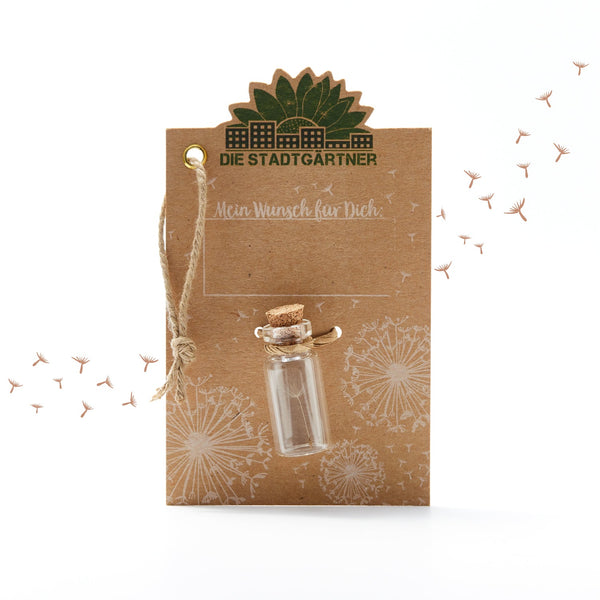 Little Wish Granter – Gift in a Jar by Die Stadtgärtner