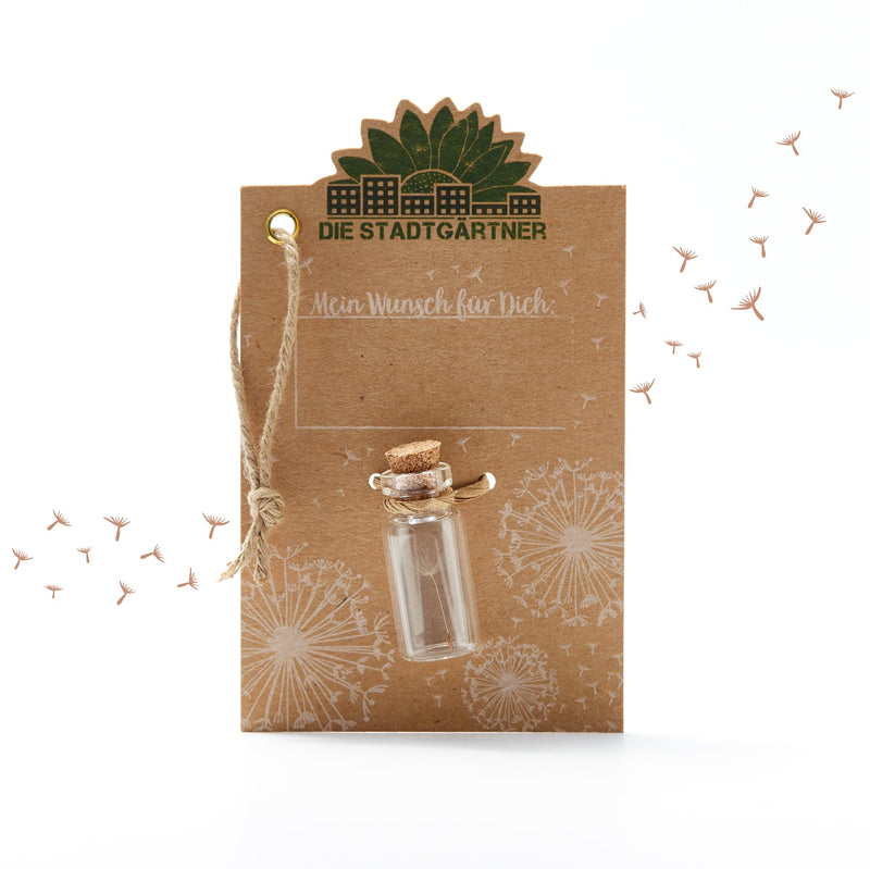 Little Wish Granter – Gift in a Jar by Die Stadtgärtner — Ansicht 2