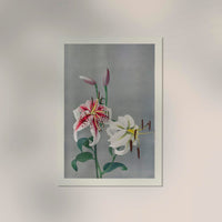 Lily by Ogawa Kazumasa - Japanese Fine Art Print Botanical Art — Ansicht 2