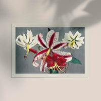 Lily Chart No. 1 by Ogawa Kazumasa – Japanese Art Print | Botanical Graphic — Ansicht 2
