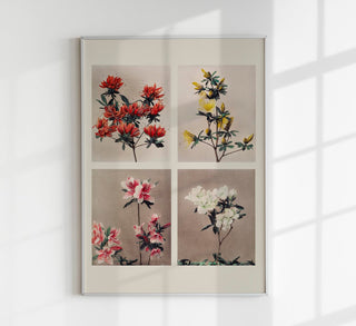 Group of Azaleas by Ogawa Kazumasa – Fine Art Print | UV-Resistant | Canvas Edition