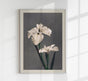 Iris Kæmpferi by Ogawa Kazumasa – Fine Art Poster UV-beständig Atelierdruck Berlin