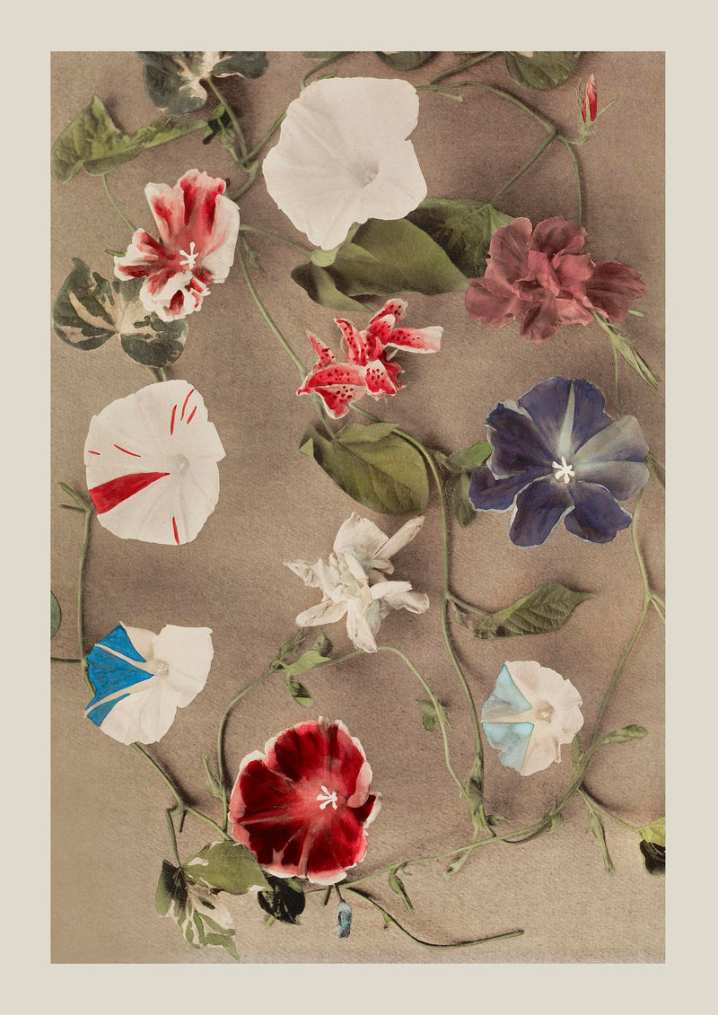 Group of Morning Glories by Ogawa Kazumasa – Fine Art Print UV-resistent Canvas — Ansicht 3