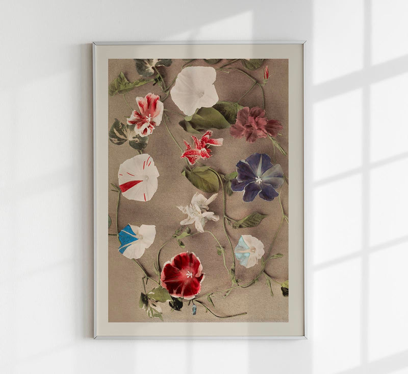 Group of Morning Glories by Ogawa Kazumasa – Fine Art Print UV-resistent Canvas — Patroa Studio