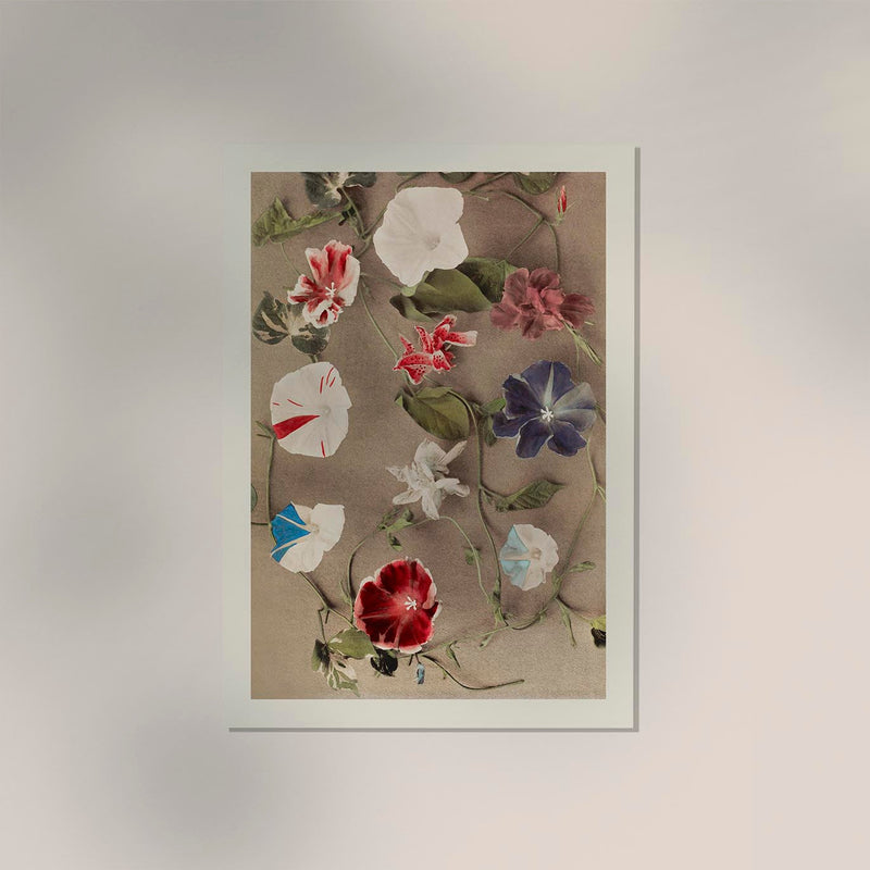 Group of Morning Glories by Ogawa Kazumasa – Fine Art Print UV-resistent Canvas — Ansicht 2