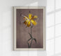 Yellow Lily – Fine Art Print by Ogawa Kazumasa | UV-beständig | Premium Kunstdruck