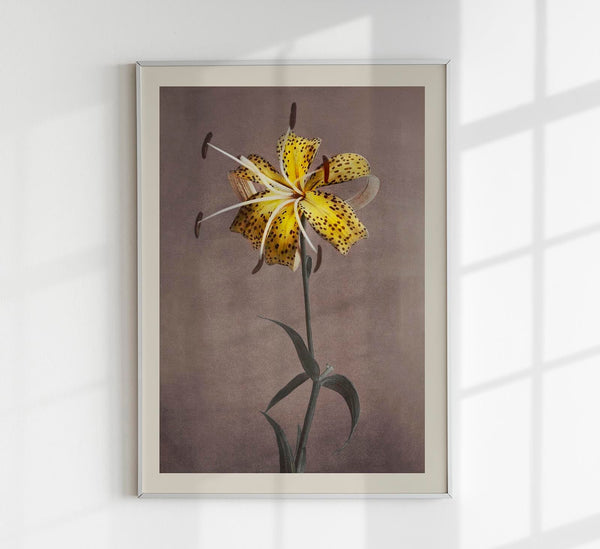 Yellow Lily – Fine Art Print by Ogawa Kazumasa | UV-beständig | Premium Kunstdruck