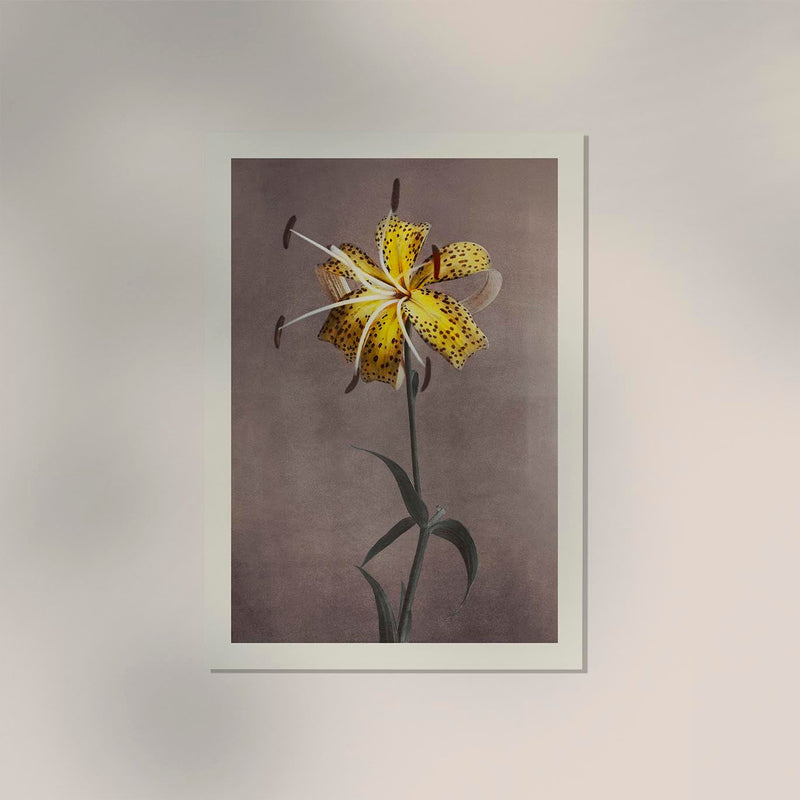 Yellow Lily – Fine Art Print by Ogawa Kazumasa | UV-beständig | Premium Kunstdruck — Ansicht 2