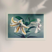 White Lily by Ogawa Kazumasa – Fine Art Print Japanische Fotokunst — Ansicht 2