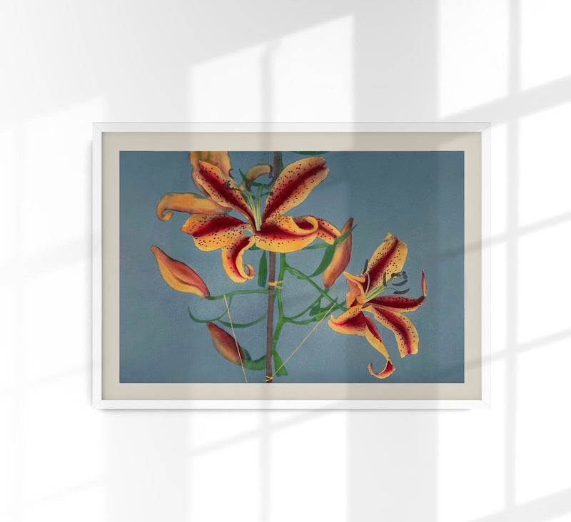 Orange Lily by Ogawa Kazumasa – Fine Art Print Japanese Photography UV-resistant — Patroa Studio