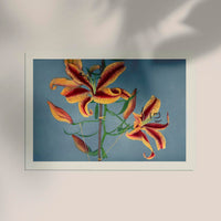Orange Lily by Ogawa Kazumasa – Fine Art Print Japanese Photography UV-resistant — Ansicht 2