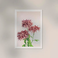 Three Pink Chrysanthemum – Fine Art Print | Japanese Floral Art | Premium Quality — Ansicht 2