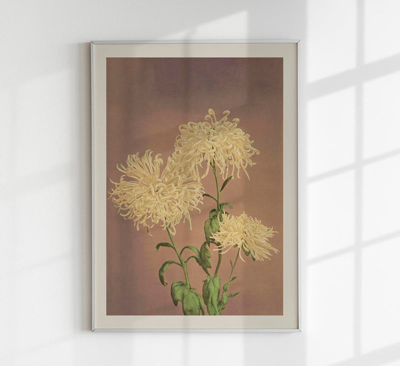 Three Yellow Chrysanthemum – Fine Art Print | Japanese Floral Art by Ogawa Kazumasa — Patroa Studio