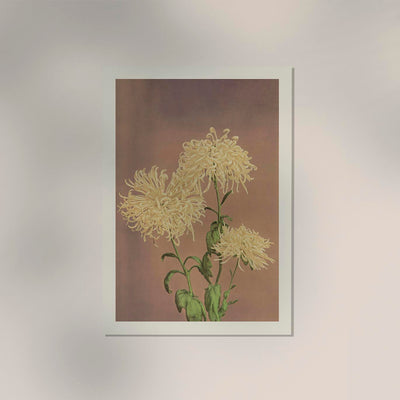 Three Yellow Chrysanthemum – Fine Art Print | Japanische Blütenkunst von Ogawa Kazumasa