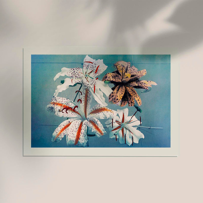 Lily Chart No 3 by Ogawa Kazumasa – Botanical Art Print — Ansicht 2