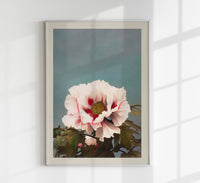 Tree Peony by Ogawa Kazumasa – Fine Art Print UV-resistant Japanese Photographic Art — Ansicht 1
