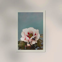 Tree Peony by Ogawa Kazumasa – Fine Art Print UV-resistant Japanese Photographic Art — Ansicht 2