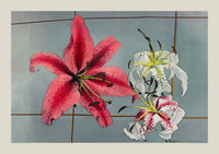 Colorful Lily Nr 3 – Fine Art Print | Ogawa Kazumasa | Ausstellungsposter — Ansicht 3