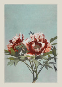 Tree Red Peony by Ogawa Kazumasa – Fine Art Print UV-resistant Japanese Photo Art — Ansicht 3