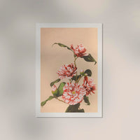 Striped Camellias by Ogawa Kazumasa – Botanische Fotokunst Fine Art Poster — Ansicht 2