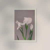 White Irises by Ogawa Kazumasa – Kunstdruck Fine Art — Ansicht 2