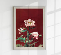 Hærdaceous Peony – Fine Art Poster by Ogawa Kazumasa, UV-resistant — Ansicht 1