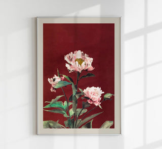 Hærdaceous Peony – Fine Art Poster by Ogawa Kazumasa | UV-beständig | Japanischer Kunstdruck aus Berlin