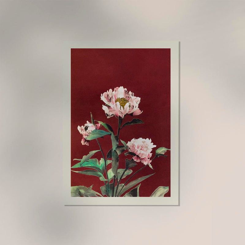Hærdaceous Peony – Fine Art Poster by Ogawa Kazumasa, UV-resistant — Ansicht 2