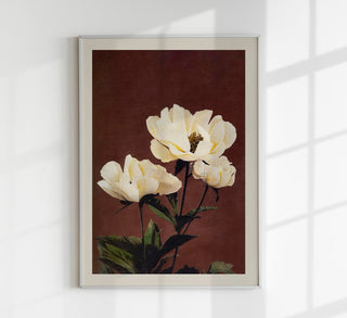 Hærdaceous Peony Nr. 2 – Fine Art Poster by Ogawa Kazumasa | UV-beständig | Japanischer Kunstdruck aus Berlin