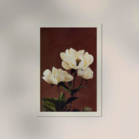 Hærdaceous Peony Nr. 2 – Japanischer Kunstdruck von Ogawa Kazumasa, UV-beständig — Ansicht 2