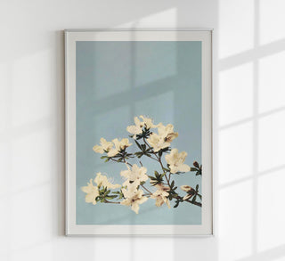 Japanese Azaleas by Ogawa Kazumasa – Fine Art Poster | UV-beständig | Atelierdruck Berlin
