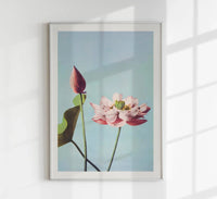 Lotus Flowers art print by Ogawa Kazumasa – Handcrafted in Berlin — Ansicht 1