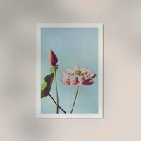 Lotus Flowers art print by Ogawa Kazumasa – Handcrafted in Berlin — Ansicht 2