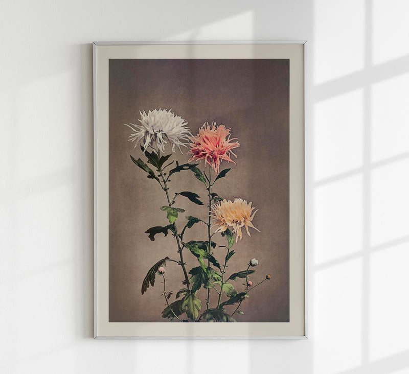 Kin-sui-ro – Fine Art Canvas Chrysantheme Ogawa Kazumasa — Patroa Studio
