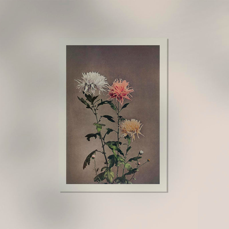 Kin-sui-ro – Fine Art Canvas Chrysantheme Ogawa Kazumasa — Ansicht 2