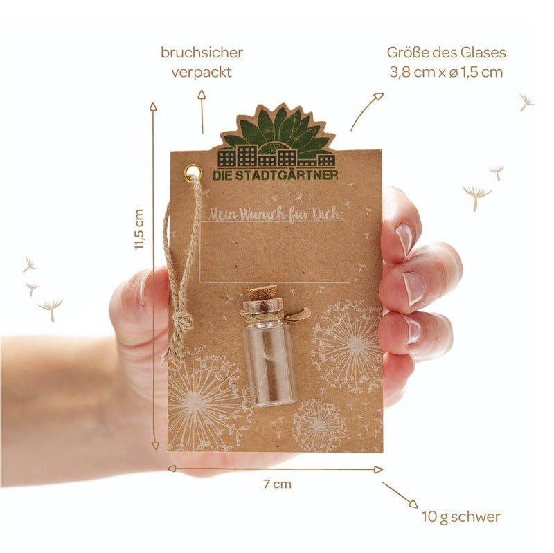 Little Wish Granter – Gift in a Jar by Die Stadtgärtner — Ansicht 7