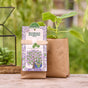 Climate Tree Growing Kit – Paulownia Seeds & Soil