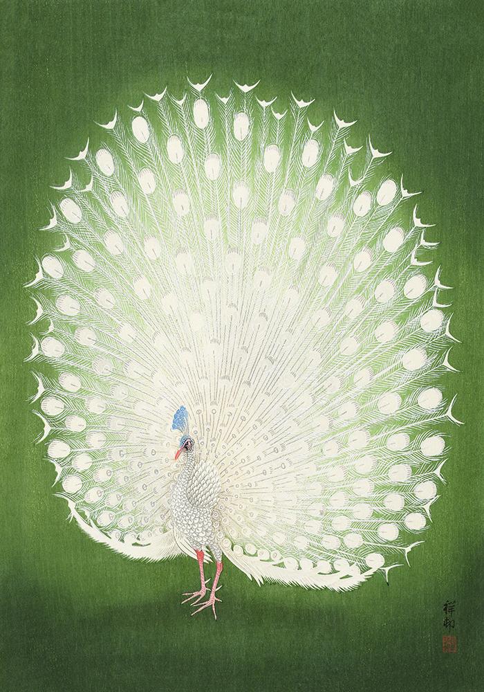 Green Peacock by Koson – Fine Art Print UV-resistent Canvas — Ansicht 4