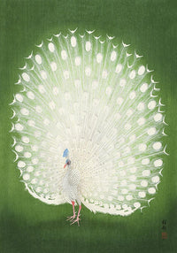 Green Peacock by Koson – Fine Art Print UV-resistent Canvas — Ansicht 8
