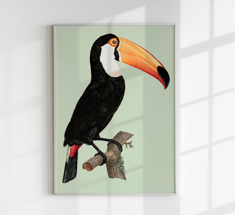 The Toco Green No. 2 Poster – Art Print Green Design — Patroa Studio