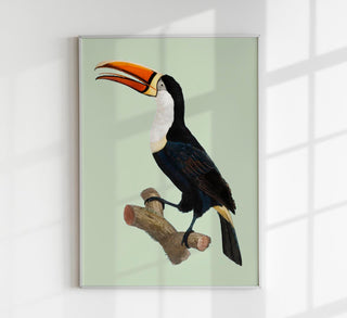 Modernes Kunstdruckposter „Le Toco Green" mit intensivem, sattem Gründesign und minimalistischer Ästhetik auf mattem Premiumpapier.