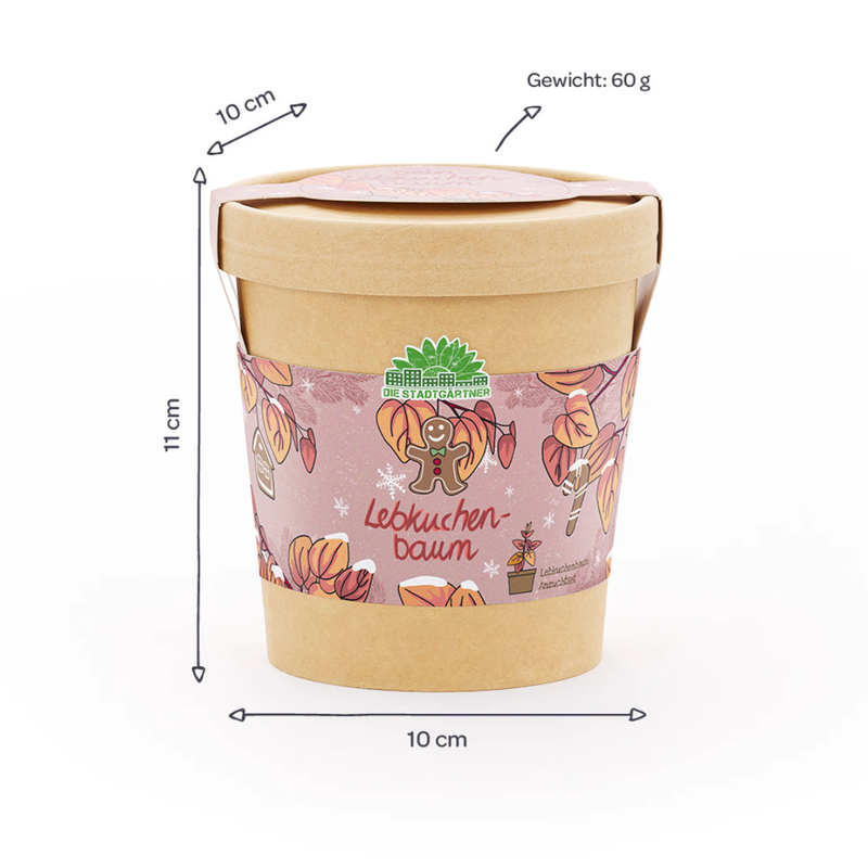 Lebkuchenbaum Anzuchtset – Katsura-Baum im Becher — Ansicht 5
